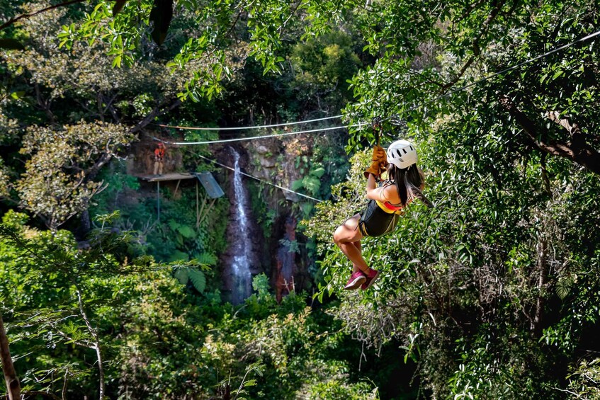 Picture 5 for Activity Canyon Canopy Tour