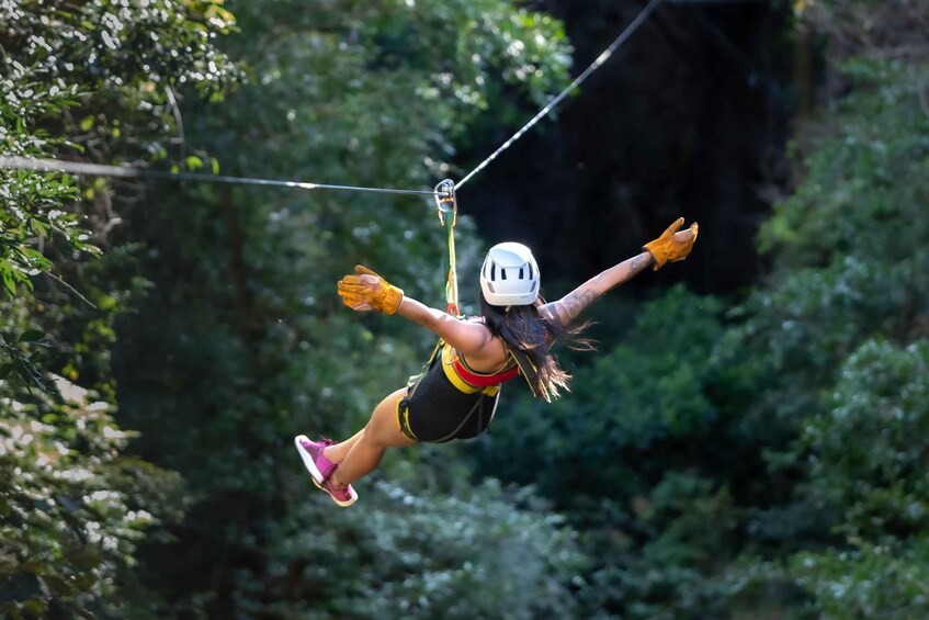 Canyon Canopy Tour