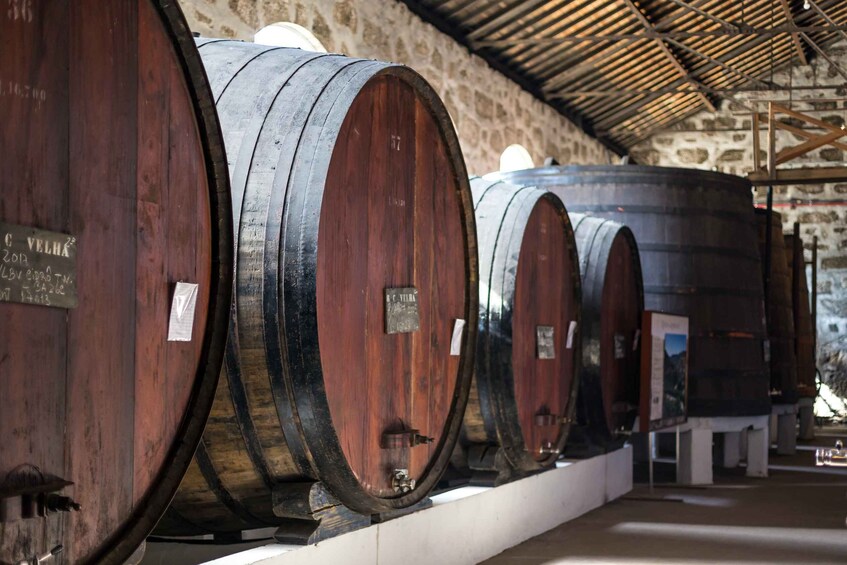Picture 4 for Activity Porto: City Train Tour, River Cruise & Wine Cellar