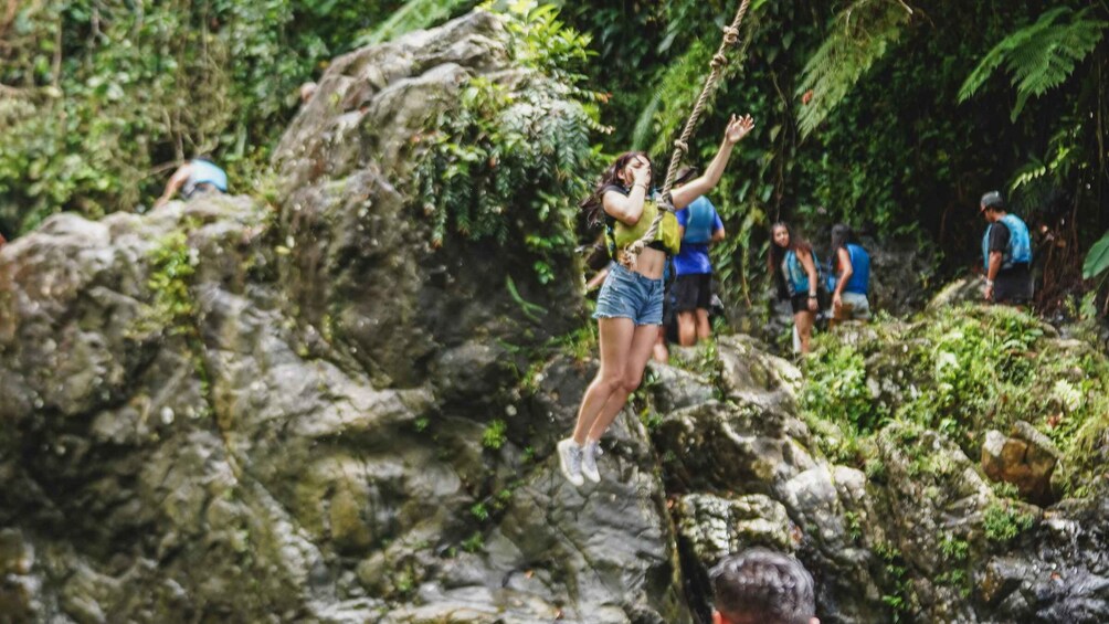 Picture 14 for Activity Fajardo: El Yunque Rainforest Hike and Waterslide Adventure