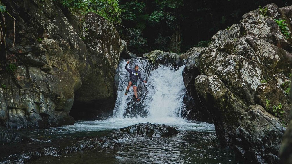 Picture 17 for Activity Fajardo: El Yunque Rainforest Hike and Waterslide Adventure