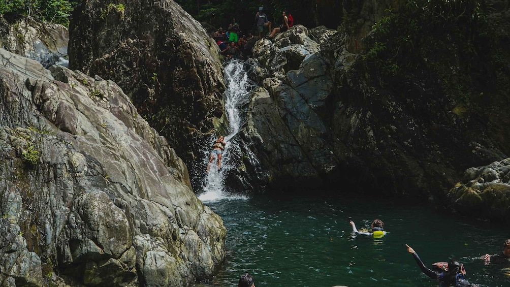 Picture 5 for Activity Fajardo: El Yunque Rainforest Hike and Waterslide Adventure