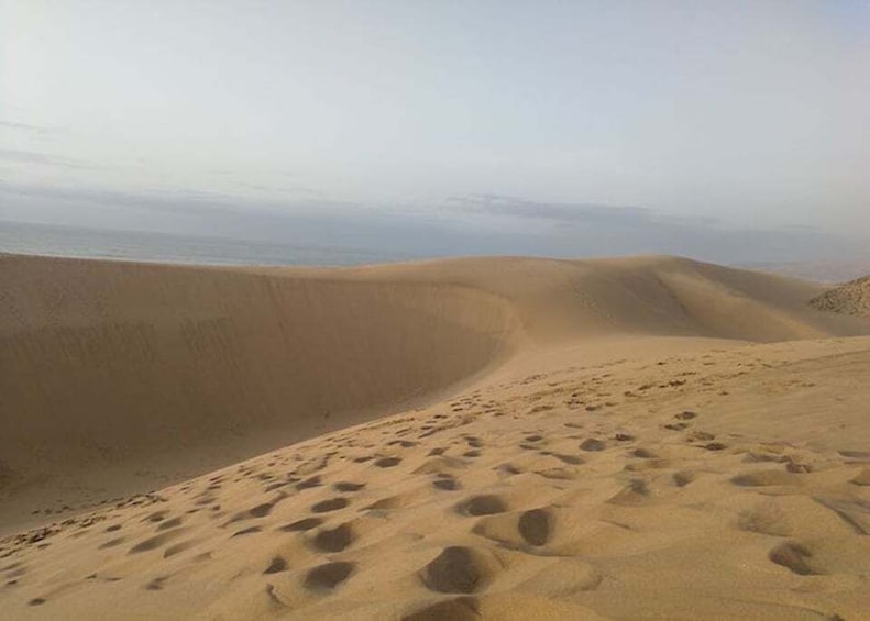 Picture 16 for Activity From Agadir/Taghazout: Sahara Sand Dunes with Transfer