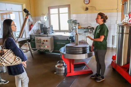 Région d'Héraklion : Secrets de l'huile d'olive et dégustation de vin