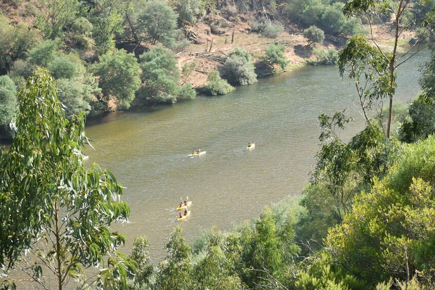 Picture 2 for Activity Coimbra: Mondego River Kayaking Tour