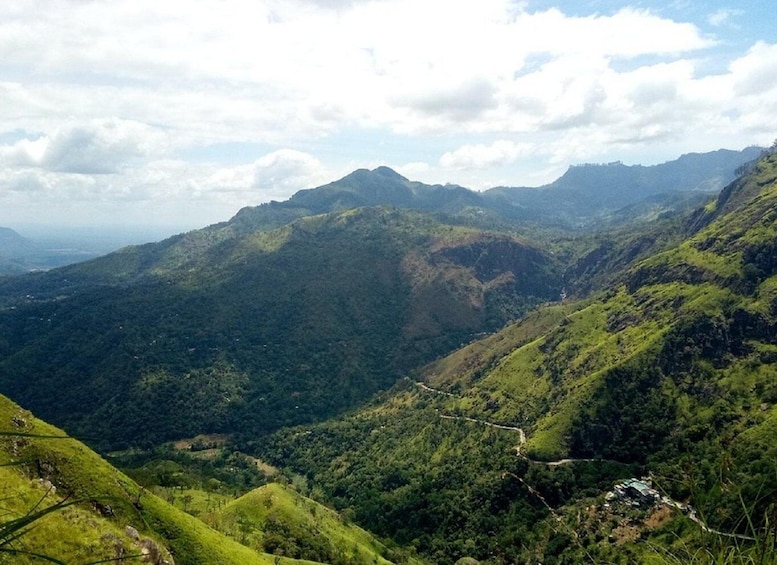 Picture 4 for Activity From Bentota: Kandy Tour with Tooth Temple & Gardens Visit