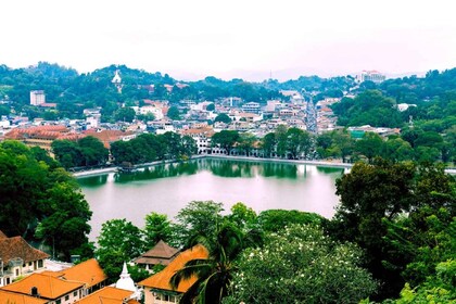 From Bentota: Kandy Tour with Tooth Temple & Gardens Visit