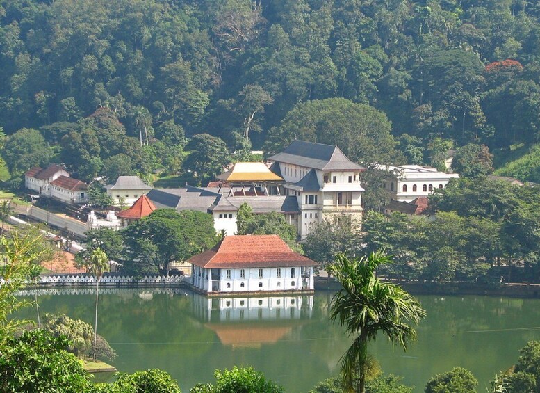 Picture 5 for Activity From Bentota: Kandy Tour with Tooth Temple & Gardens Visit