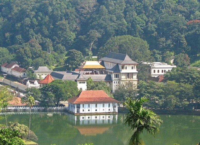 Picture 5 for Activity From Bentota: Kandy Tour with Tooth Temple & Gardens Visit