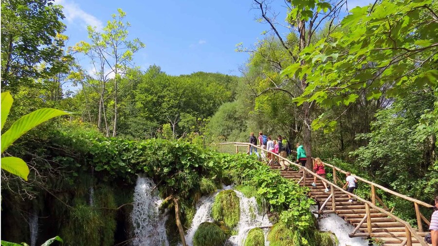 From Split: Plitvice Lakes Full-Day Trip