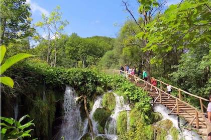 Da Spalato: Escursione di un giorno intero ai laghi di Plitvice