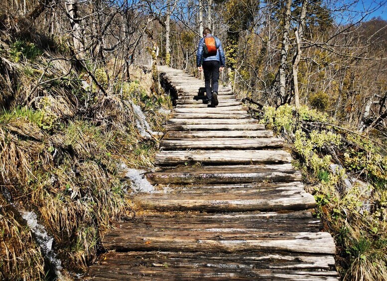 Picture 3 for Activity From Split: Plitvice Lakes Full-Day Trip