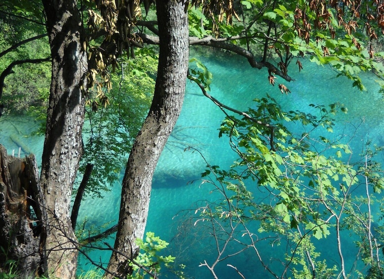 Picture 3 for Activity From Split: Plitvice Lakes Full-Day Trip