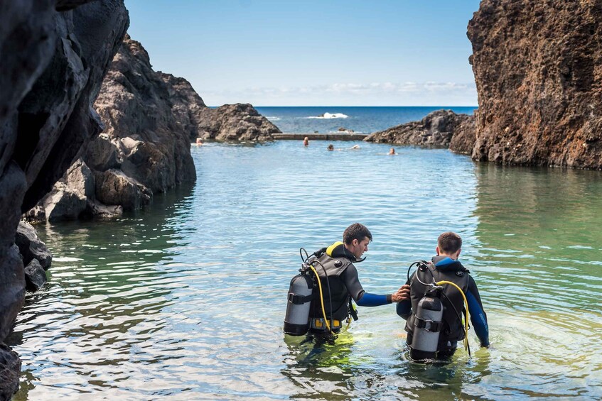 Picture 2 for Activity Porto Moniz: Diving with Sharks and Rays in Madeira Aquarium