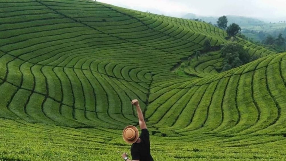 From Yogyakarta: West Java 3-Day Tour With Tea Plantation