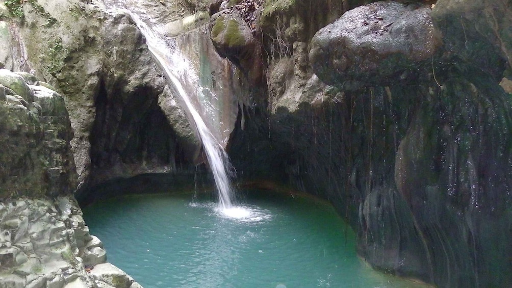 Picture 2 for Activity Puerto Plata: Damajagua Waterfalls with Buggy or Horse Ride