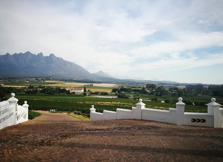 Picture 3 for Activity Western Cape: Winelands Tasting and Cellar Tour with Guide