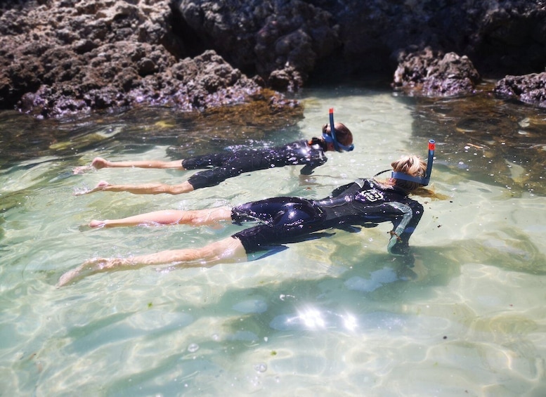 Picture 4 for Activity Arrábida: Kayaking and Snorkeling Experience