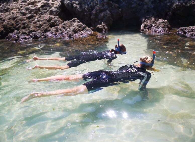 Picture 4 for Activity Arrábida: Kayaking and Snorkeling Experience