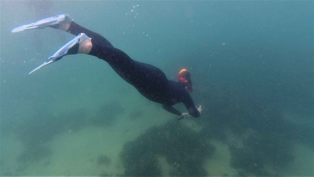 Picture 10 for Activity Arrábida: Kayaking and Snorkeling Experience