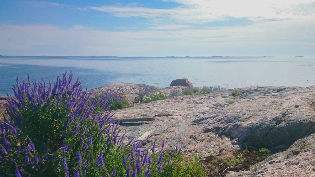 Picture 2 for Activity Turku Archipelago: Sea Kayaking Day Tour