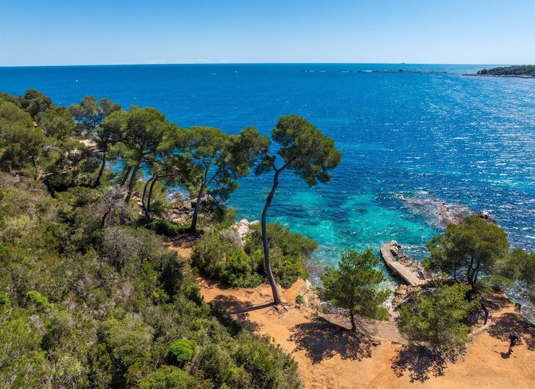 Picture 23 for Activity From Cannes: Round-Trip Ferry to Ste. Marguerite Island