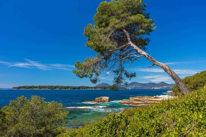 Från Cannes: Från Cannes: Färja tur och retur till Ste. Marguerite Island