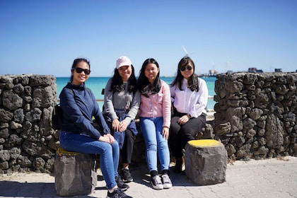 Isla de Jeju: tour privado personalizado en furgoneta de día completo