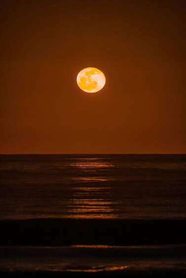 Picture 4 for Activity Cabo de Gata: Guided Night Walk with Stargazing