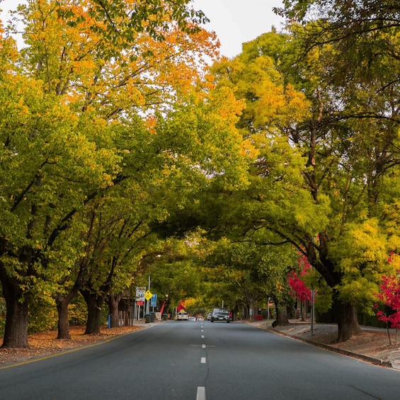 Picture 3 for Activity Adelaide: City Highlights and Hahndorf Tour with Pickup