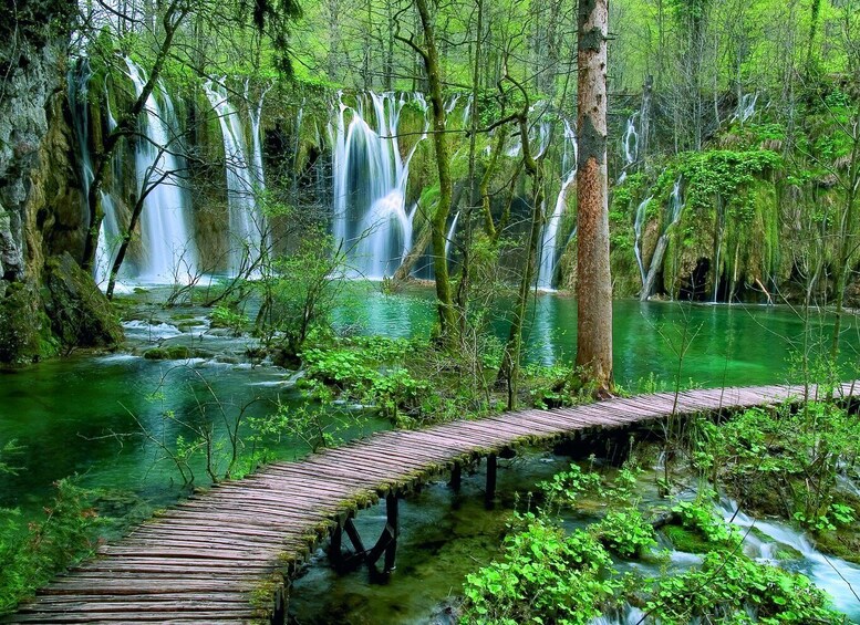 Picture 2 for Activity Plitvice Lakes National Park: Private Tour from Zadar