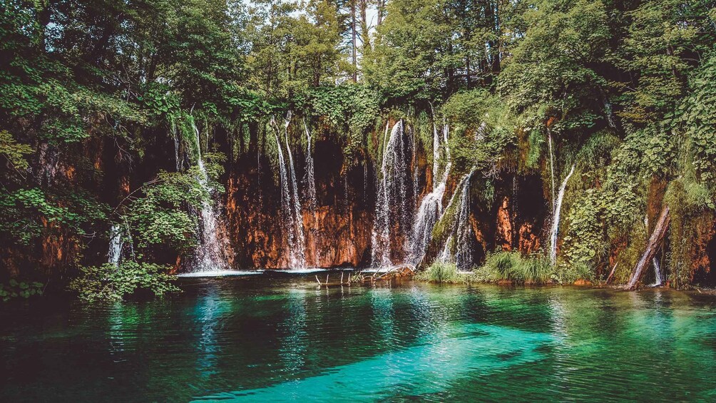 Picture 5 for Activity Plitvice Lakes National Park: Private Tour from Zadar