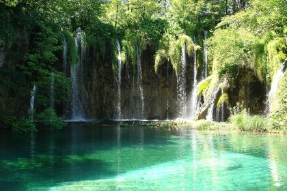 Plitvicesjøene nasjonalpark: Privat tur fra Zadar