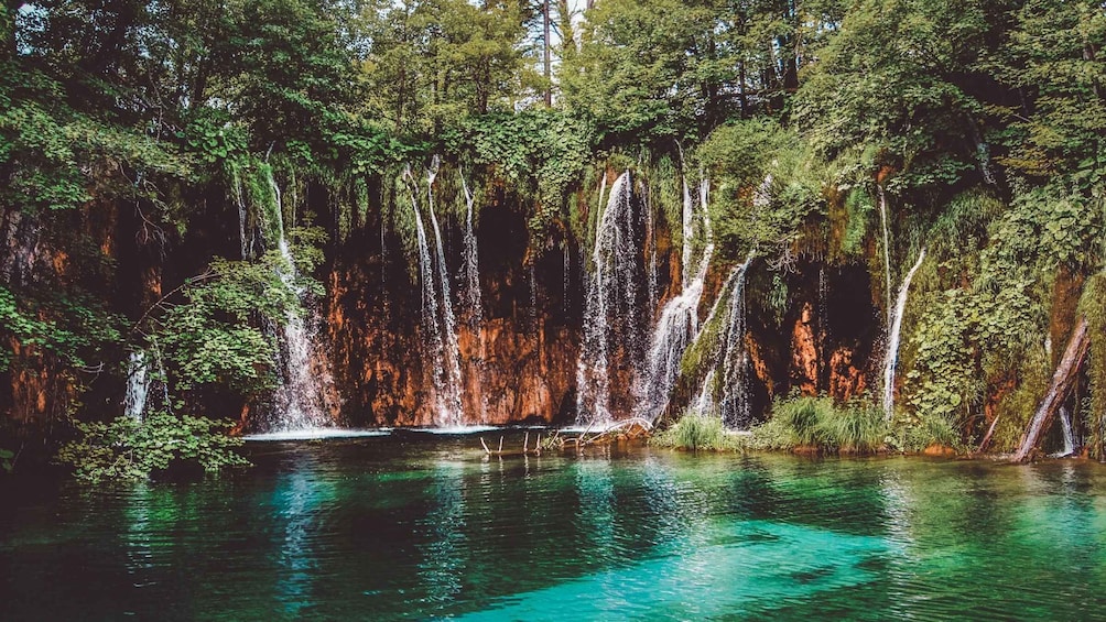 Picture 5 for Activity Plitvice Lakes National Park: Private Tour from Zadar