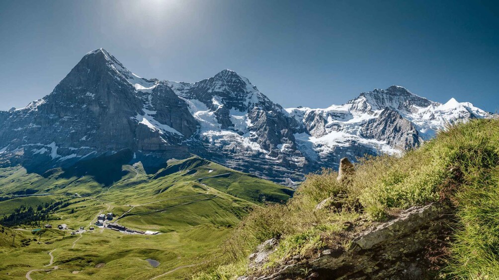 Picture 5 for Activity Jungfrau: Travel Pass for 3 to 8 Days