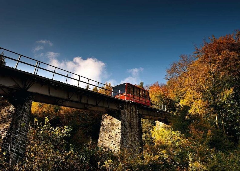 Picture 2 for Activity Jungfrau: Travel Pass for 3 to 8 Days