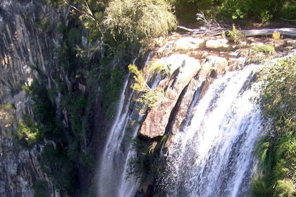 Byron Bay: Minyon Falls and Ocean Kayak Tour with BBQ Lunch