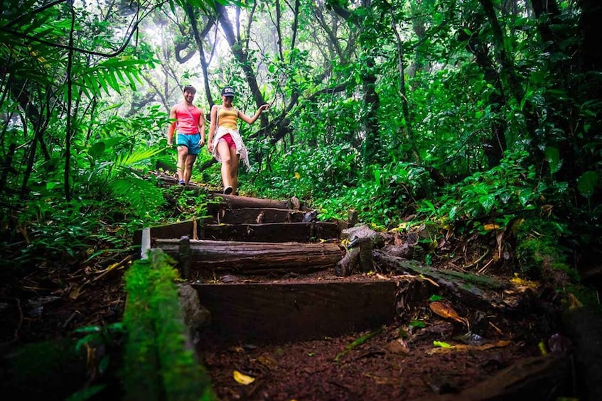 Picture 1 for Activity Mombacho Natural Reserve and Canopy Adventure