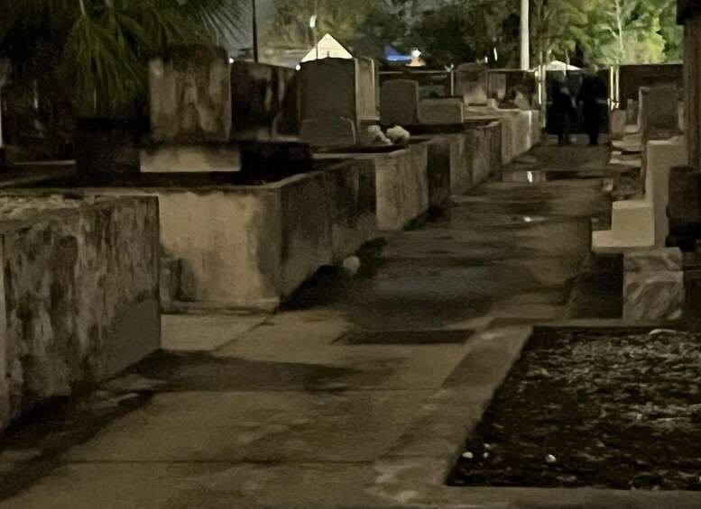 Picture 23 for Activity New Orleans: Cemetery Bus Tour At Dark with Exclusive Access