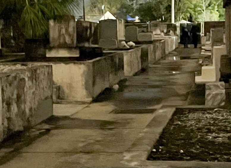 Picture 20 for Activity New Orleans: Cemetery Bus Tour At Dark with Exclusive Access