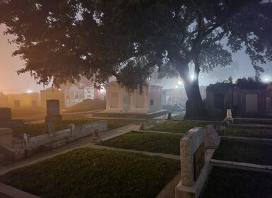 Nueva Orleans: recorrido en autobús por el cementerio al anochecer con acce...