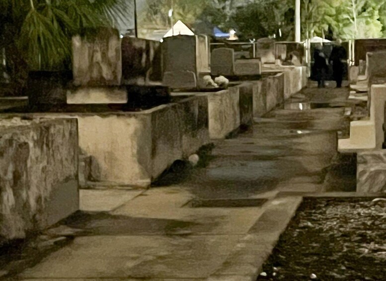 Picture 20 for Activity New Orleans: Cemetery Bus Tour At Dark with Exclusive Access