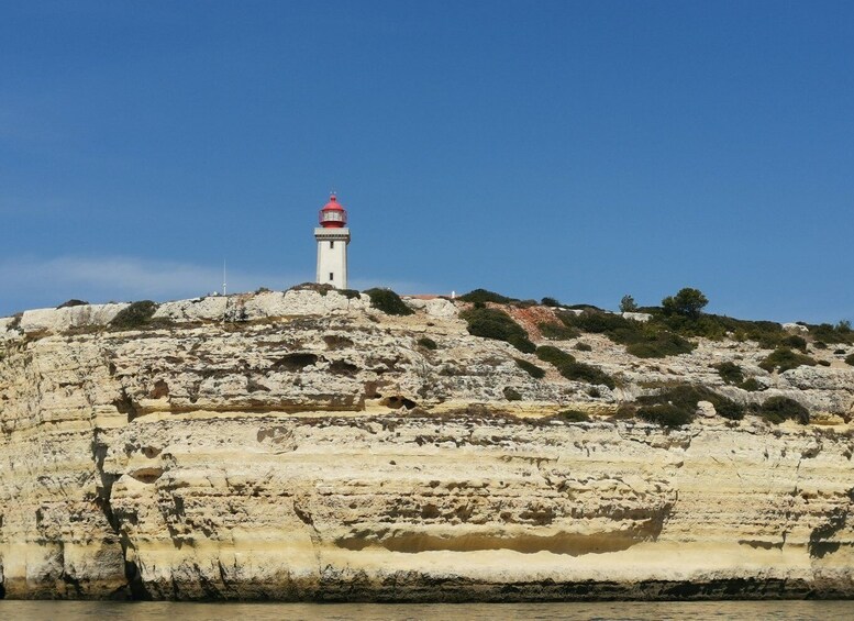 Picture 10 for Activity Albufeira: Coastline and Benagil Caves Tour by Catamaran