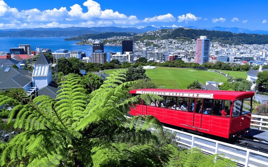 Picture 6 for Activity Wellington: Return Cable Car Ticket