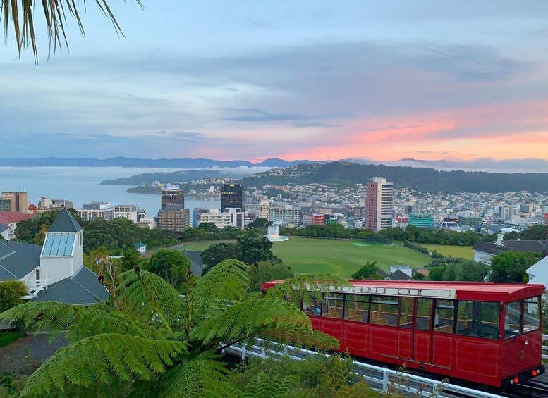 Picture 4 for Activity Wellington: Return Cable Car Ticket