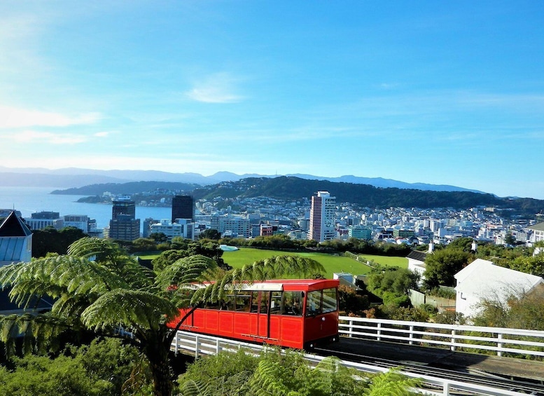 Wellington: Return Cable Car Ticket