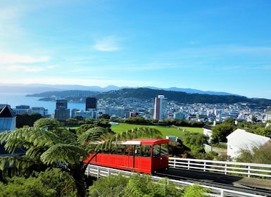 Wellington: Biljett för linbana tur och retur