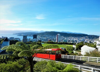 Wellington: Taubanebillett tur-retur