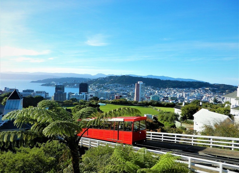 Wellington: Return Cable Car Ticket