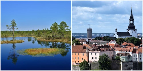 Tallinn : Visite de la vieille ville avec promenade dans les tourbières